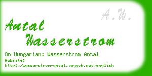 antal wasserstrom business card